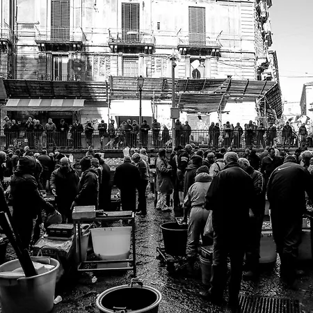 Xx Miglia & Catania